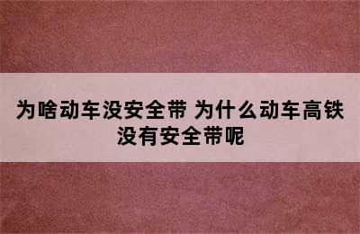 为啥动车没安全带 为什么动车高铁没有安全带呢